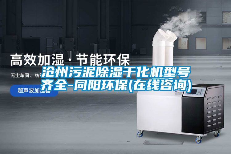 滄州污泥除濕干化機(jī)型號(hào)齊全-同陽(yáng)環(huán)保(在線(xiàn)咨詢(xún))