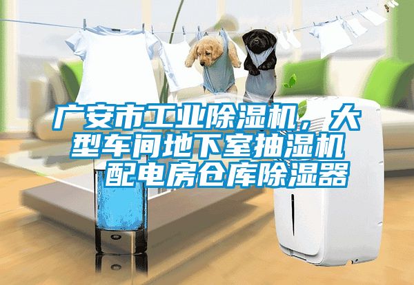 廣安市工業除濕機，大型車間地下室抽濕機  配電房倉庫除濕器