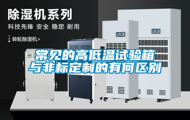 常見的高低溫試驗箱與非標定制的有何區別