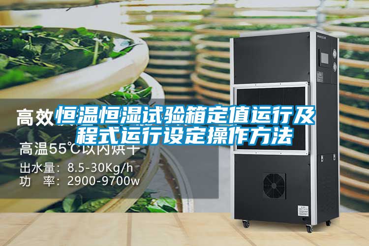 恒溫恒濕試驗箱定值運行及程式運行設定操作方法