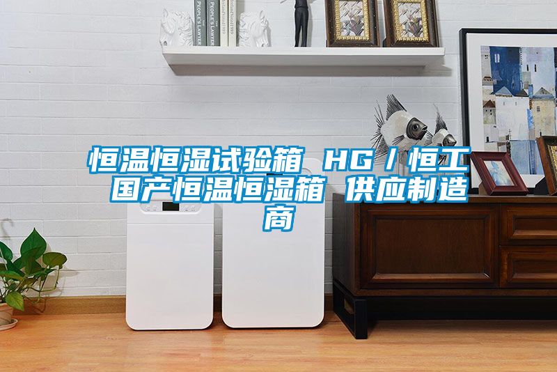 恒溫恒濕試驗箱 HG／恒工 國產(chǎn)恒溫恒濕箱 供應制造商