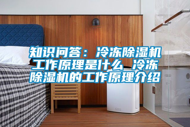 知識(shí)問(wèn)答：冷凍除濕機(jī)工作原理是什么 冷凍除濕機(jī)的工作原理介紹
