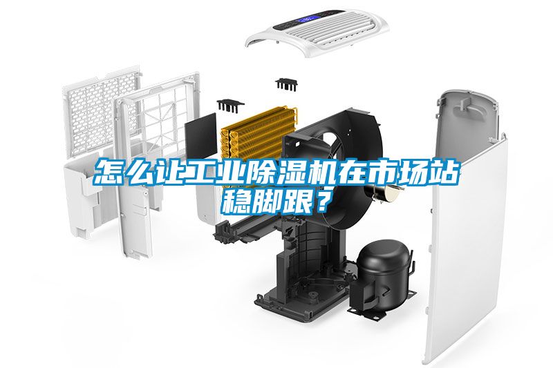 怎么讓工業除濕機在市場站穩腳跟？