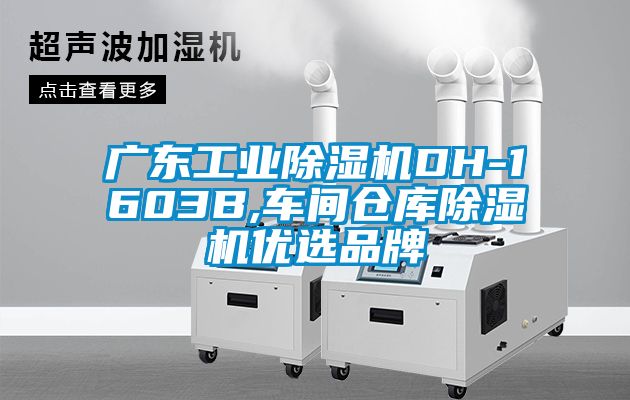 廣東工業(yè)除濕機(jī)DH-1603B,車間倉(cāng)庫(kù)除濕機(jī)優(yōu)選品牌