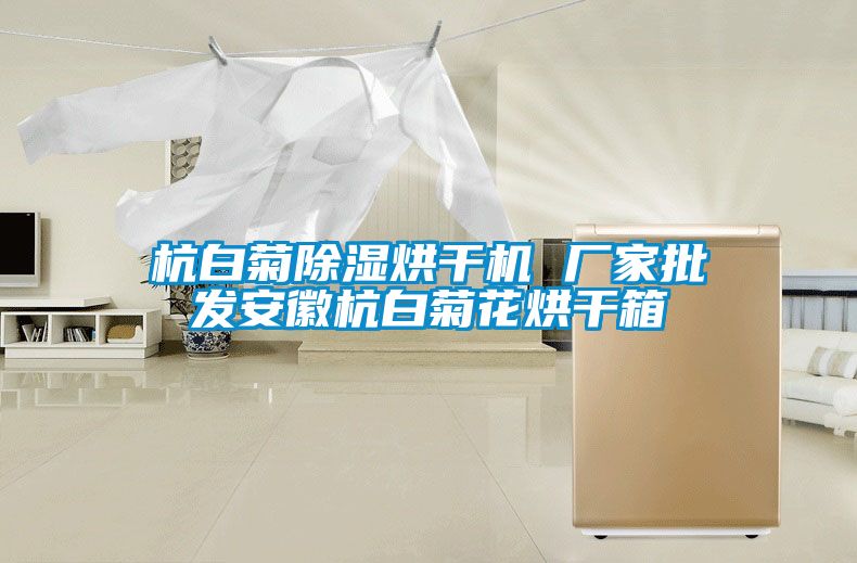 杭白菊除濕烘干機 廠家批發安徽杭白菊花烘干箱