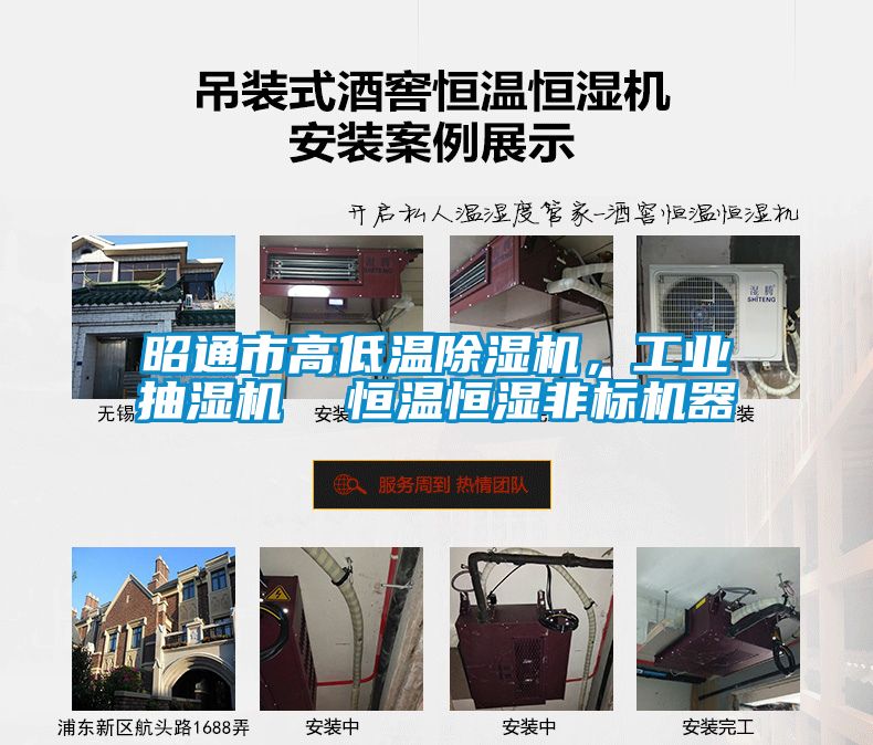 昭通市高低溫除濕機，工業抽濕機  恒溫恒濕非標機器