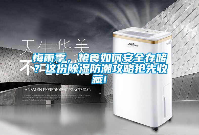 梅雨季，糧食如何安全存儲(chǔ)？這份除濕防潮攻略搶先收藏!