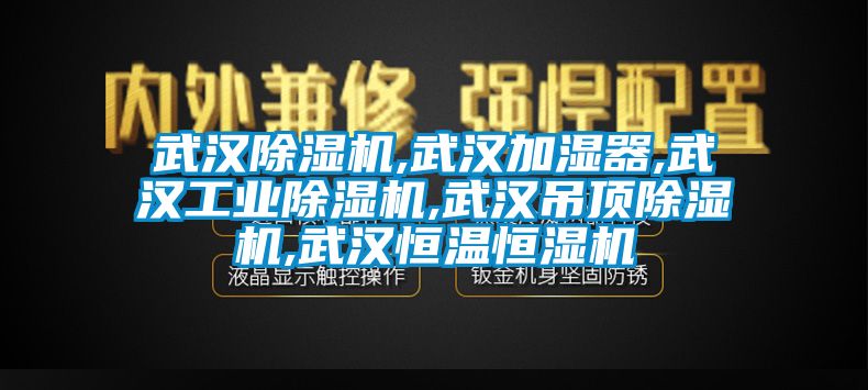 武漢除濕機(jī),武漢加濕器,武漢工業(yè)除濕機(jī),武漢吊頂除濕機(jī),武漢恒溫恒濕機(jī)