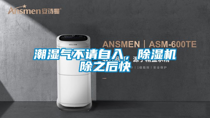 潮濕氣不請自入，除濕機除之后快