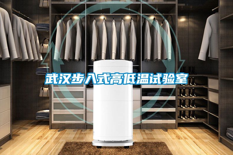 武漢步入式高低溫試驗(yàn)室