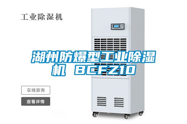 湖州防爆型工業除濕機 BCFZ10