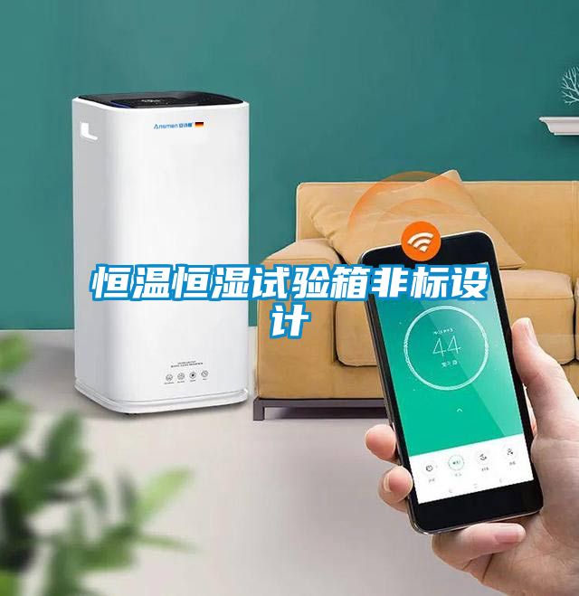 恒溫恒濕試驗箱非標設計