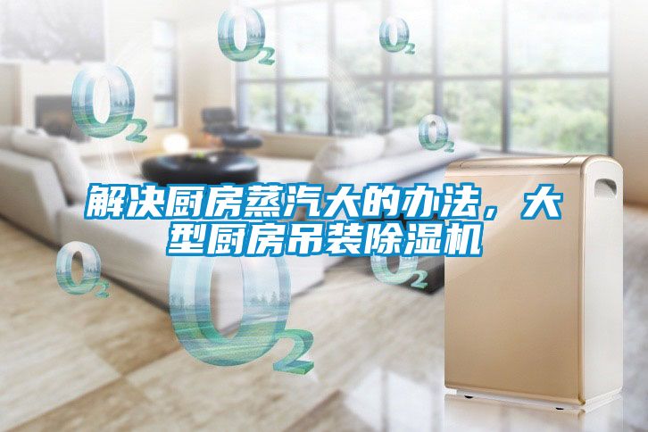 解決廚房蒸汽大的辦法，大型廚房吊裝除濕機(jī)