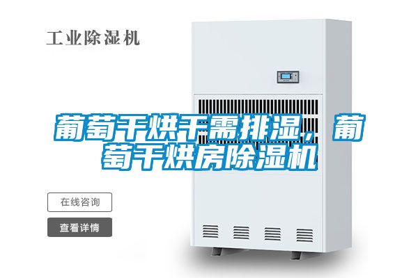 葡萄干烘干需排濕，葡萄干烘房除濕機
