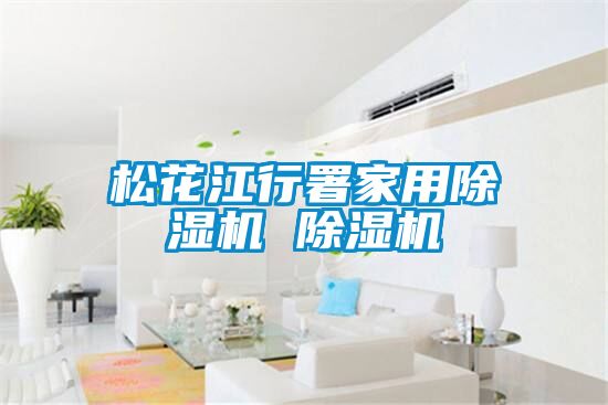 松花江行署家用除濕機(jī) 除濕機(jī)