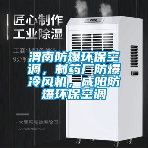渭南防爆環保空調，制藥廠防爆冷風機，咸陽防爆環保空調