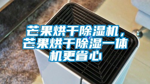 芒果烘干除濕機(jī)，芒果烘干除濕一體機(jī)更省心