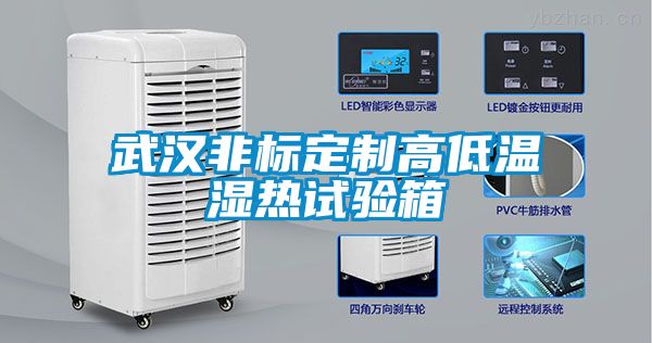 武漢非標定制高低溫濕熱試驗箱