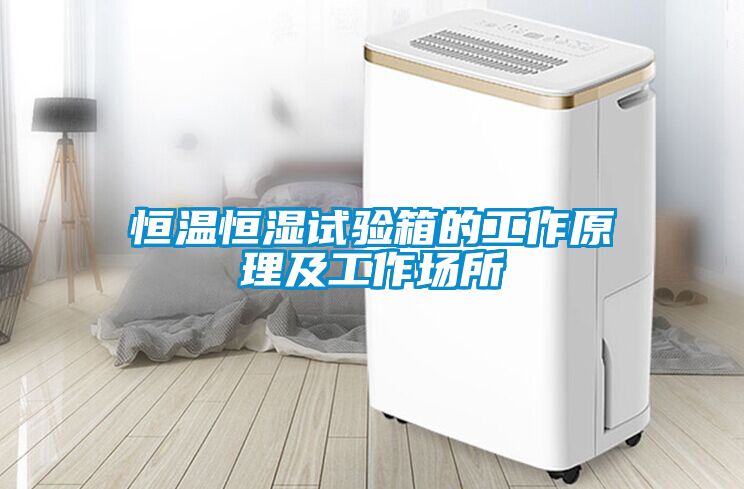 恒溫恒濕試驗箱的工作原理及工作場所