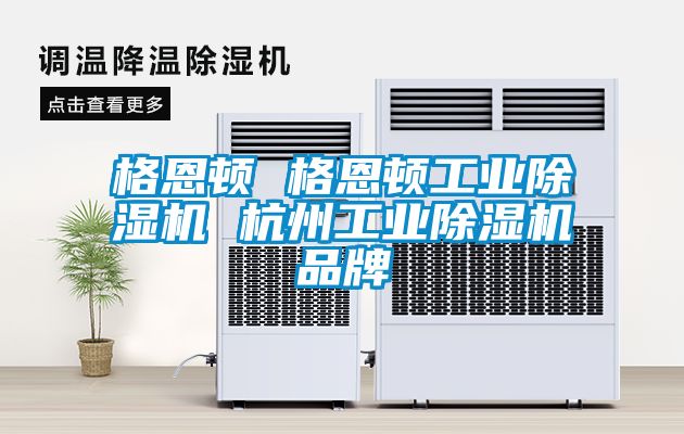 格恩頓 格恩頓工業(yè)除濕機(jī) 杭州工業(yè)除濕機(jī)品牌