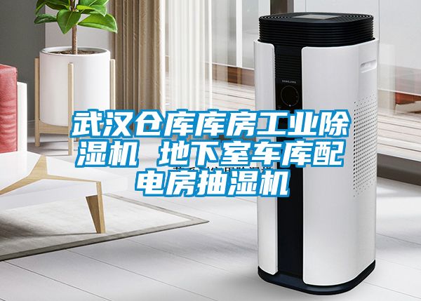 武漢倉(cāng)庫(kù)庫(kù)房工業(yè)除濕機(jī) 地下室車(chē)庫(kù)配電房抽濕機(jī)