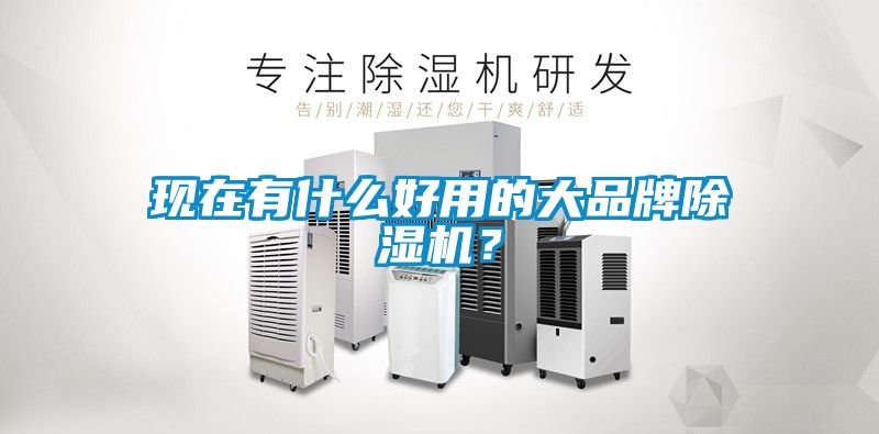 現在有什么好用的大品牌除濕機？