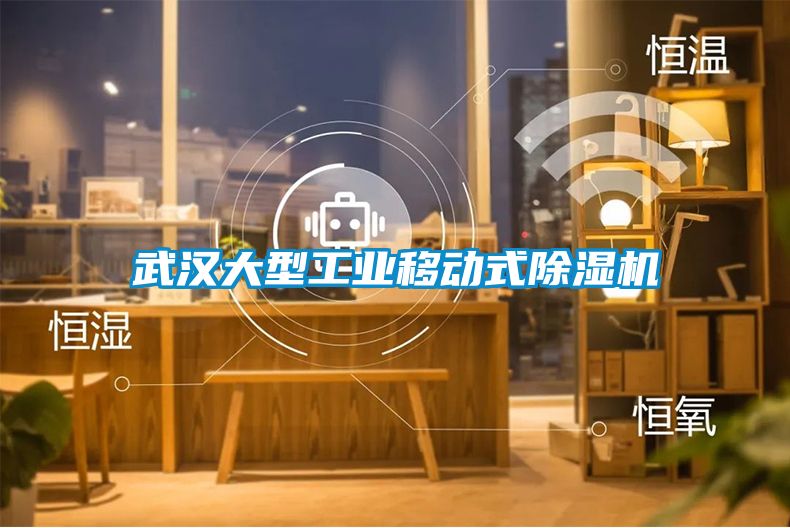 武漢大型工業移動式除濕機