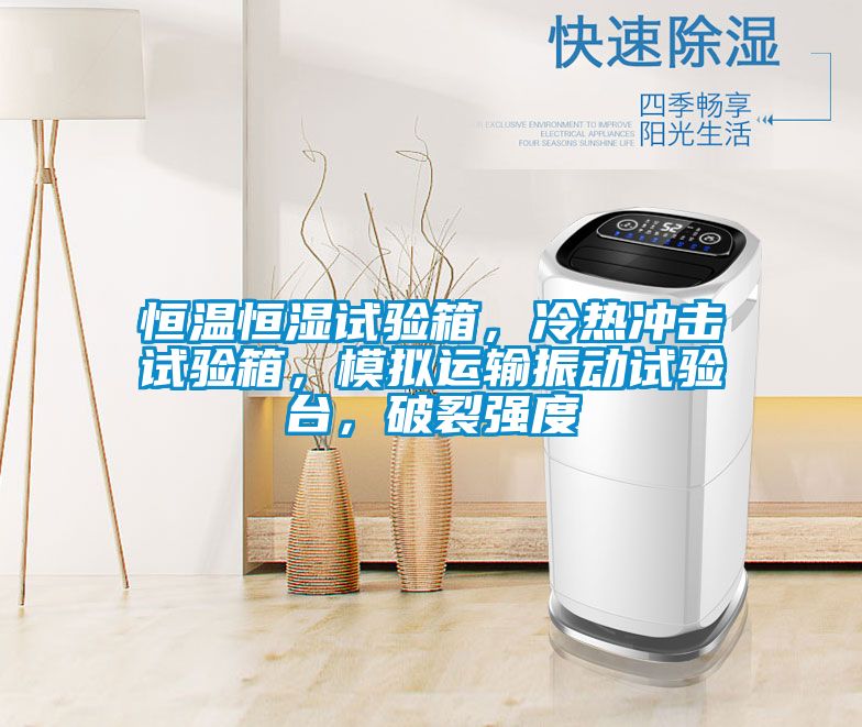 恒溫恒濕試驗箱，冷熱沖擊試驗箱，模擬運輸振動試驗臺，破裂強度