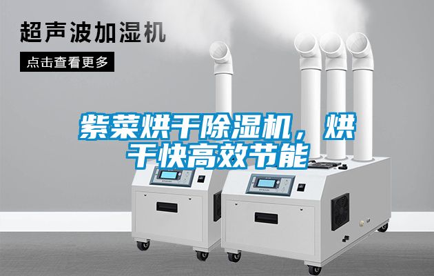 紫菜烘干除濕機，烘干快高效節能