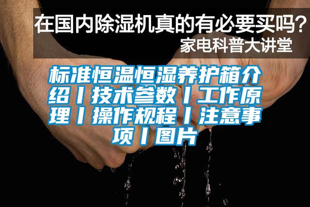 標準恒溫恒濕養護箱介紹丨技術參數丨工作原理丨操作規程丨注意事項丨圖片