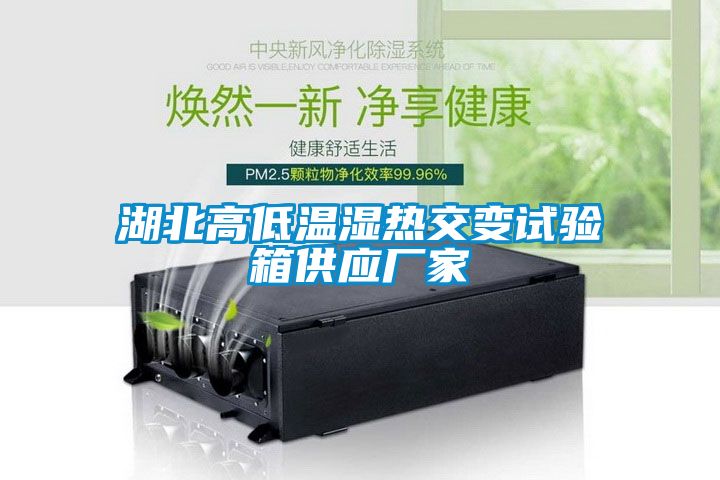 湖北高低溫濕熱交變試驗箱供應廠家