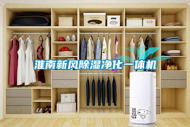 淮南新風除濕凈化一體機