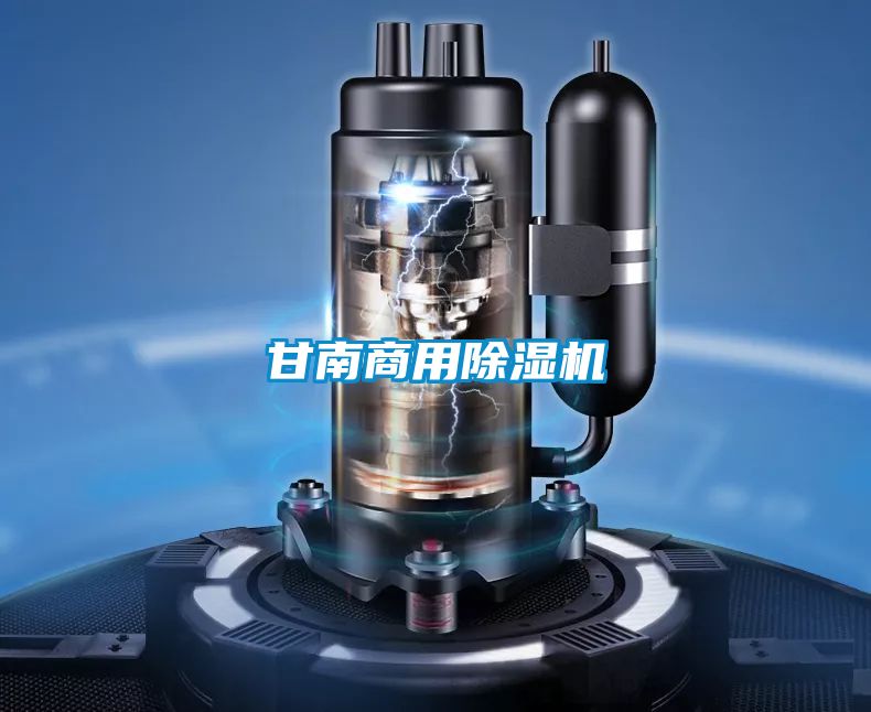 甘南商用除濕機