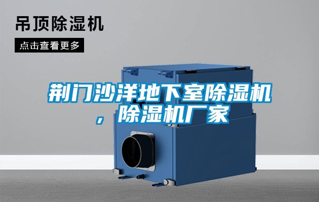 荊門沙洋地下室除濕機(jī)，除濕機(jī)廠家