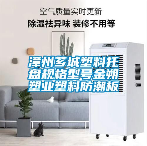 漳州薌城塑料托盤規格型號金朔塑業塑料防潮板