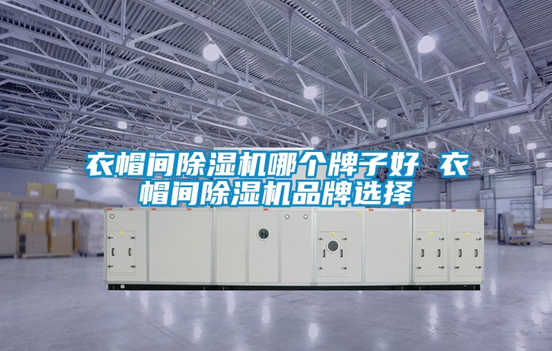 衣帽間除濕機(jī)哪個(gè)牌子好 衣帽間除濕機(jī)品牌選擇