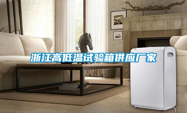 浙江高低溫試驗箱供應(yīng)廠家