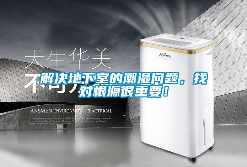 解決地下室的潮濕問題，找對根源很重要！
