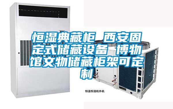 恒濕典藏柜 西安固定式儲藏設(shè)備 博物館文物儲藏柜架可定制