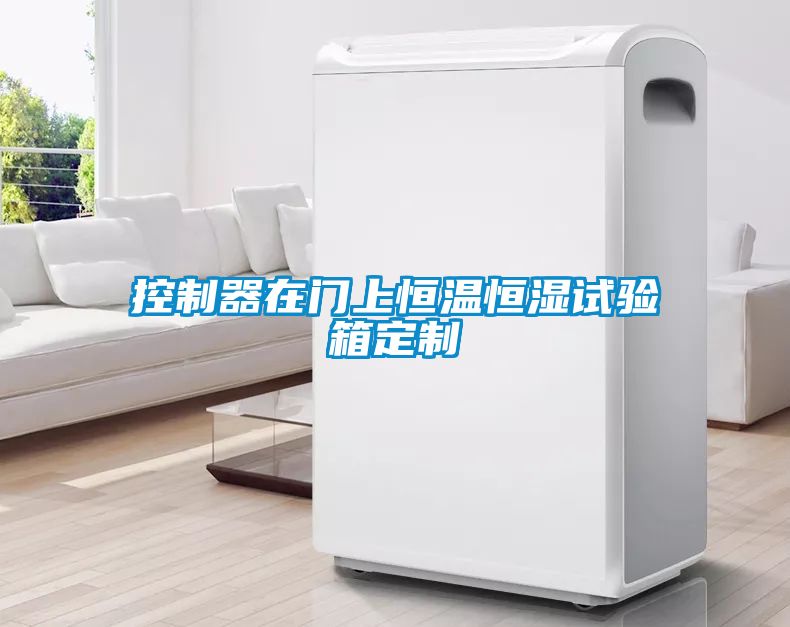 控制器在門上恒溫恒濕試驗箱定制