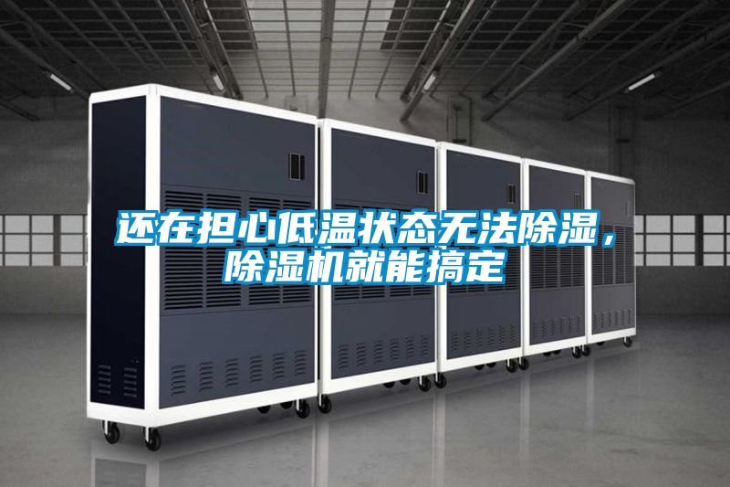 還在擔心低溫狀態無法除濕，除濕機就能搞定