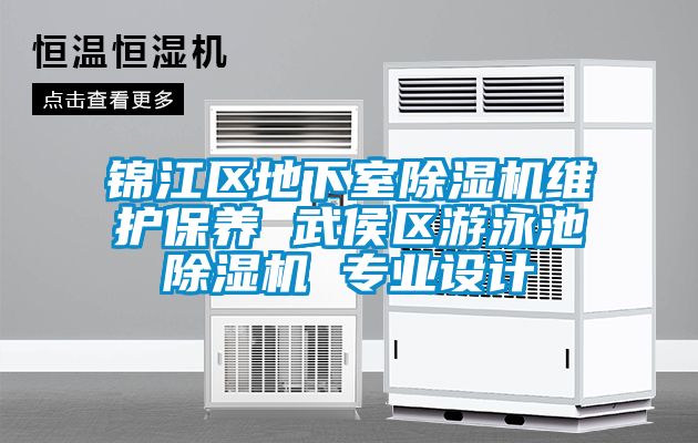 錦江區(qū)地下室除濕機(jī)維護(hù)保養(yǎng) 武侯區(qū)游泳池除濕機(jī) 專業(yè)設(shè)計