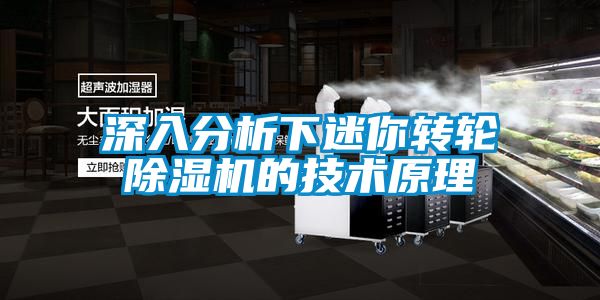 深入分析下迷你轉輪除濕機的技術原理