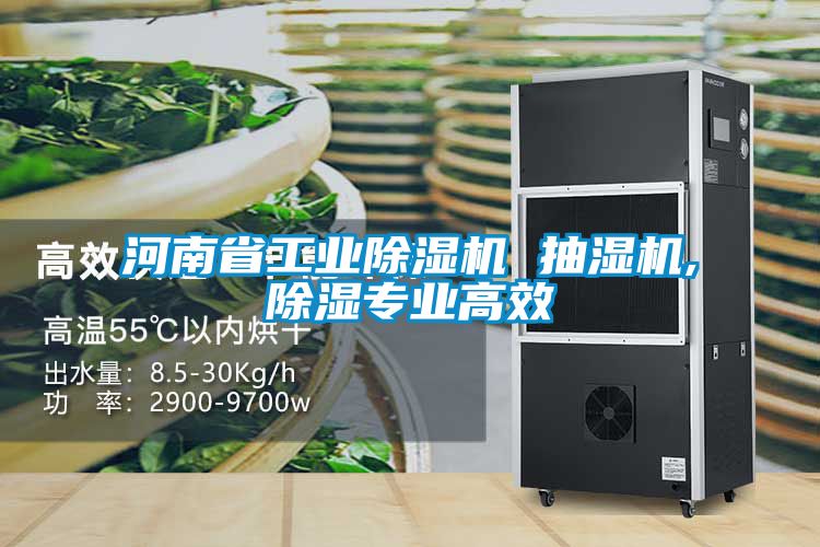 河南省工業除濕機 抽濕機,除濕專業高效