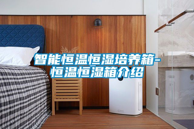 智能恒溫恒濕培養箱-恒溫恒濕箱介紹