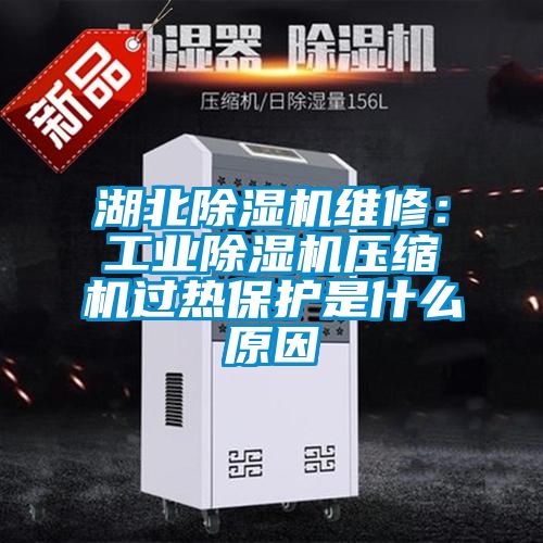 湖北除濕機(jī)維修：工業(yè)除濕機(jī)壓縮機(jī)過熱保護(hù)是什么原因