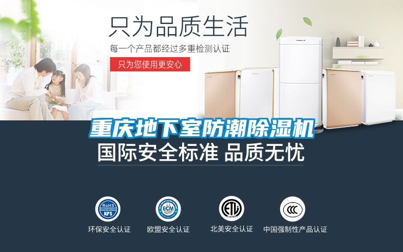 重慶地下室防潮除濕機(jī)