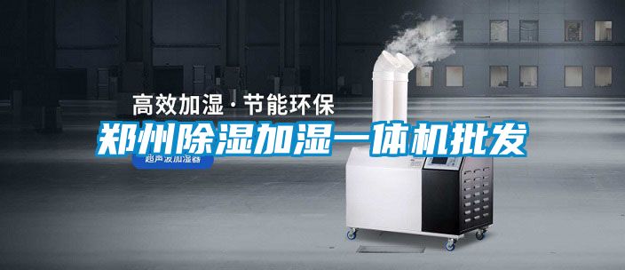 鄭州除濕加濕一體機批發