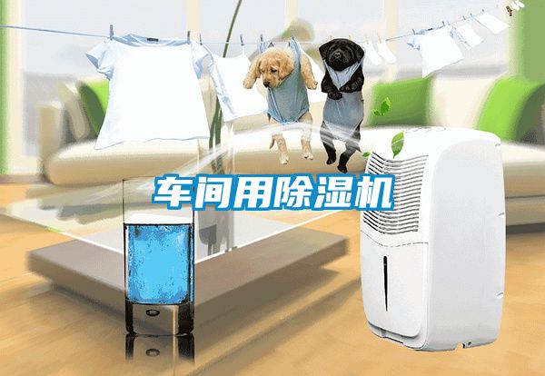 車間用除濕機(jī)
