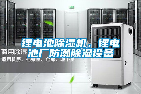 鋰電池除濕機(jī)，鋰電池廠防潮除濕設(shè)備